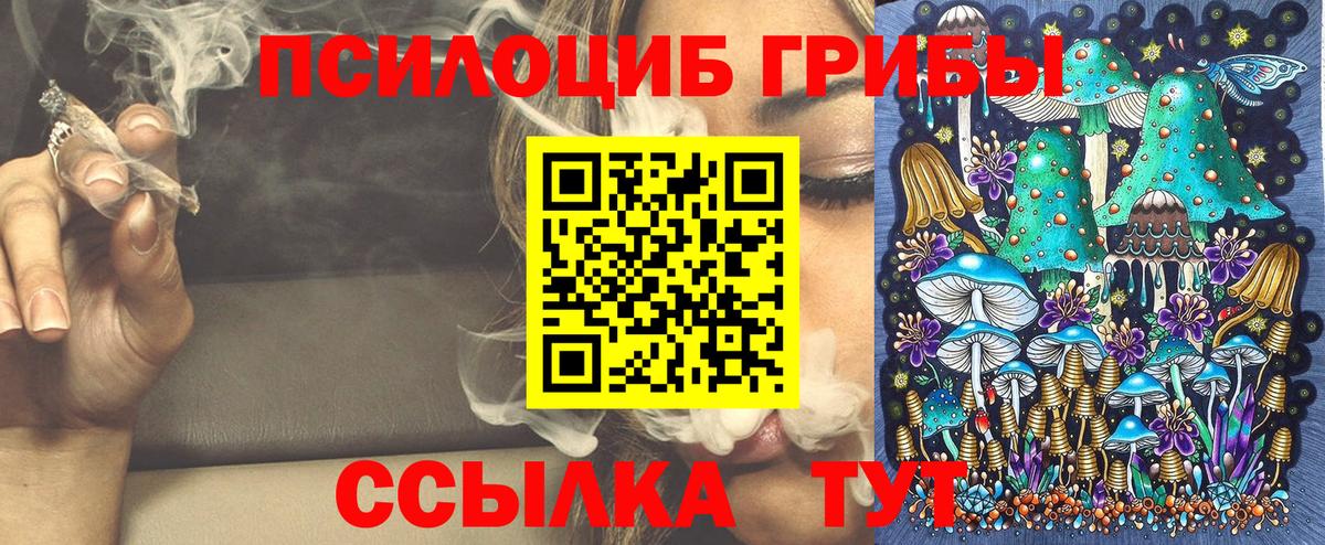 Галлюциногенные грибы Cubensis Советская Гавань